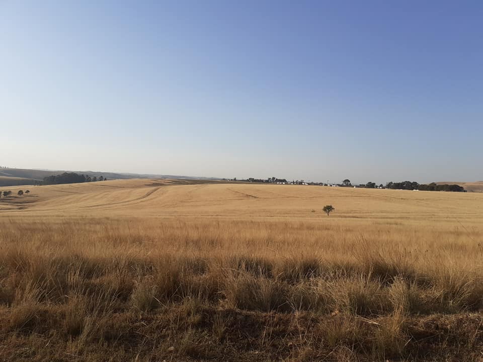 117584652_1384161861772333_8107491519996484300_n